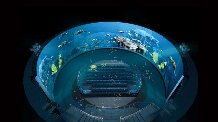 1590036221735594.jpg 1590036221735594.jpg