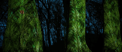 1597996269573104.gif 1597996269573104.gif