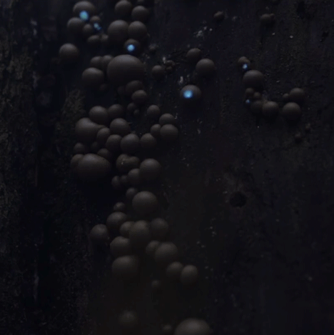 1597996273989877.gif 1597996273989877.gif