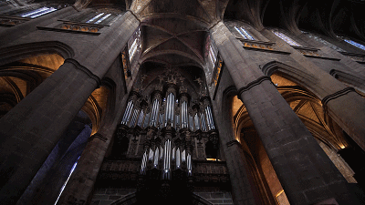 1600665614429219.gif 1600665614429219.gif