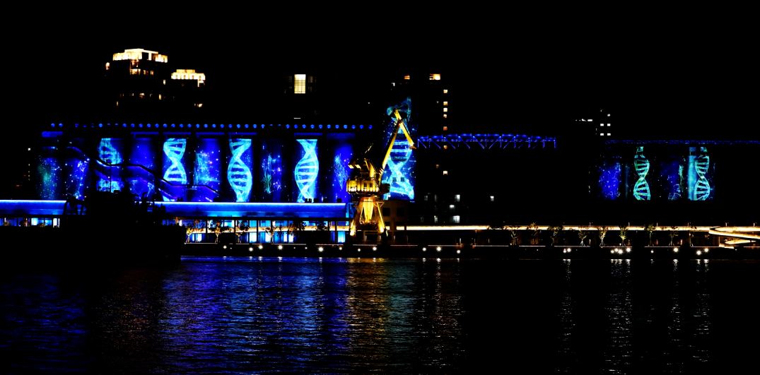 1605081839308911.png 1605081839308911.png