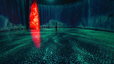 1646904552870253.gif 1646904552870253.gif